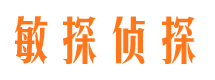 阜城市私家侦探公司